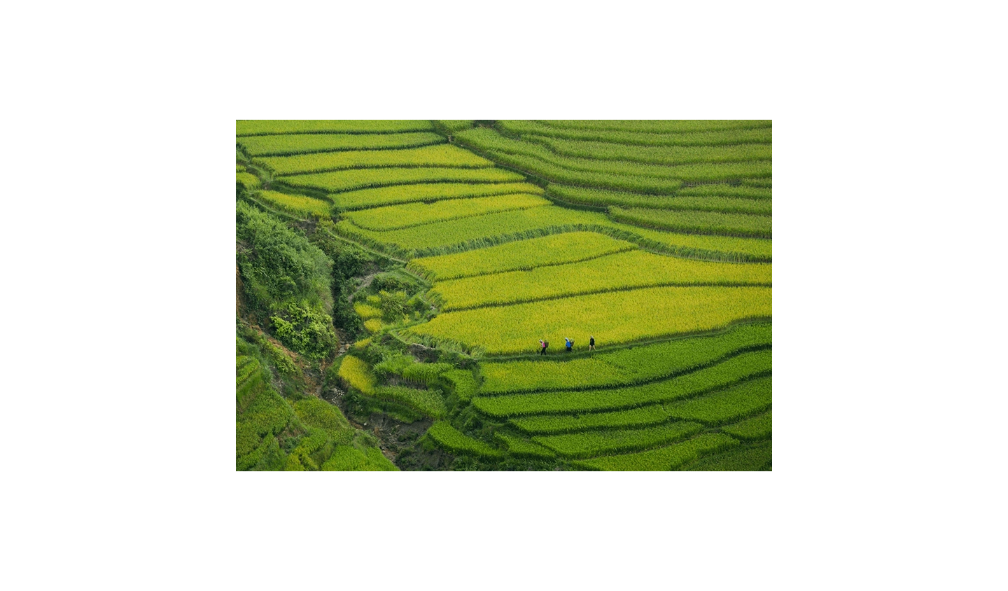 Phát triển Hệ sinh thái Dữ liệu đa nền tảng