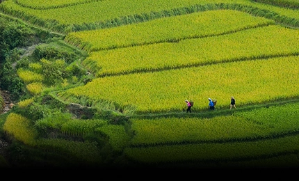 Phát triển Hệ sinh thái Dữ liệu đa nền tảng